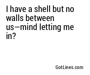 I have a shell but no walls between us—mind letting me in?