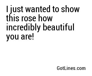 I just wanted to show this rose how incredibly beautiful you are!