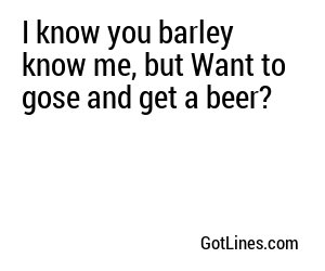 I know you barley know me, but Want to gose and get a beer?
