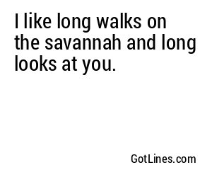 I like long walks on the savannah and long looks at you.