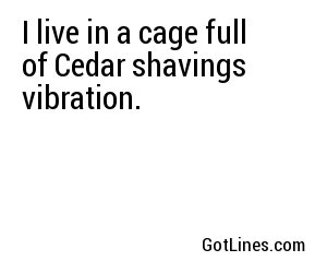I live in a cage full of Cedar shavings vibration.
