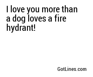 I love you more than a dog loves a fire hydrant!