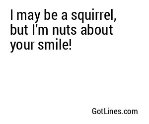 I may be a squirrel, but I’m nuts about your smile!
