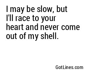 I may be slow, but I'll race to your heart and never come out of my shell.