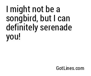 I might not be a songbird, but I can definitely serenade you!