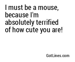 I must be a mouse, because I'm absolutely terrified of how cute you are!