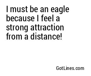 I must be an eagle because I feel a strong attraction from a distance!