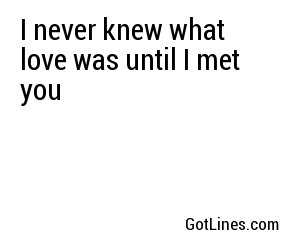 I never knew what love was until I met you