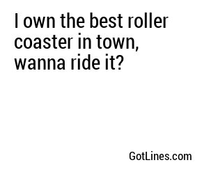 I own the best roller coaster in town, wanna ride it?