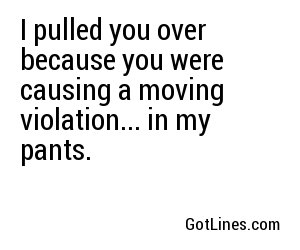 I pulled you over because you were causing a moving violation... in my pants.
