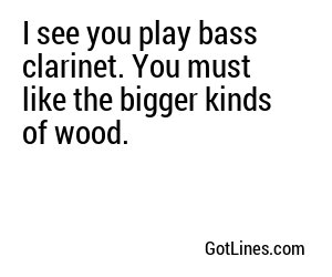 I see you play bass clarinet. You must like the bigger kinds of wood.
