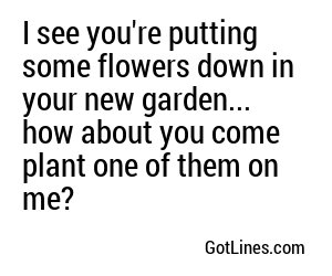 I see you're putting some flowers down in your new garden... how about you come plant one of them on me?
