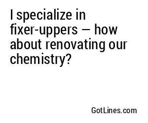 I specialize in fixer-uppers — how about renovating our chemistry?
