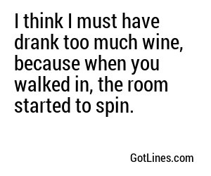 I think I must have drank too much wine, because when you walked in, the room started to spin.