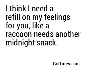 I think I need a refill on my feelings for you, like a raccoon needs another midnight snack.