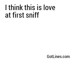 I think this is love at first sniff