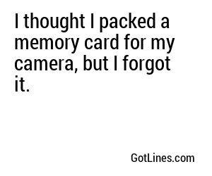 I thought I packed a memory card for my camera, but I forgot it.

