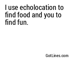 I use echolocation to find food and you to find fun.