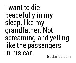 I want to die peacefully in my sleep, like my grandfather. Not screaming and yelling like the passengers in his car.