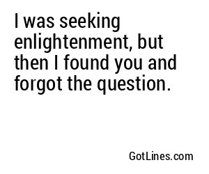 I was seeking enlightenment, but then I found you and forgot the question.