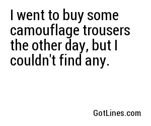 I went to buy some camouflage trousers the other day, but I couldn't find any. 
