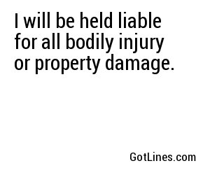 I will be held liable for all bodily injury or property damage.

