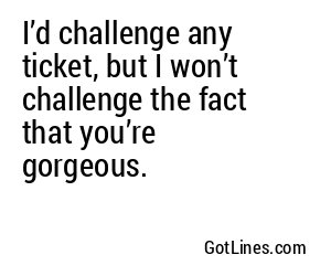 I’d challenge any ticket, but I won’t challenge the fact that you’re gorgeous.