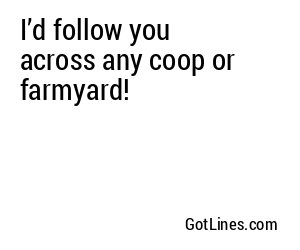 I’d follow you across any coop or farmyard!