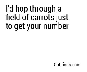 I’d hop through a field of carrots just to get your number