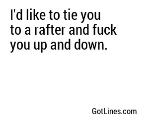 I'd like to tie you to a rafter and fuck you up and down.
