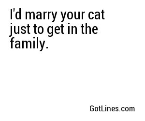 I'd marry your cat just to get in the family.