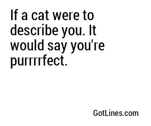 If a cat were to describe you. It would say you're purrrrfect.
