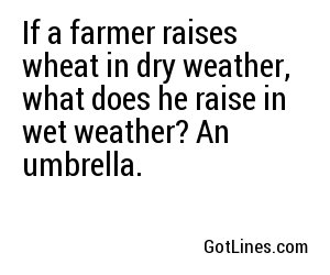 If a farmer raises wheat in dry weather, what does he raise in wet weather? An umbrella.
