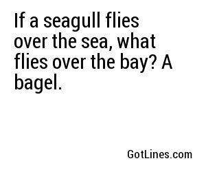 If a seagull flies over the sea, what flies over the bay? A bagel.