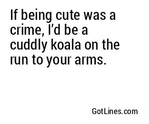 If being cute was a crime, I’d be a cuddly koala on the run to your arms.