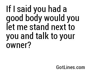 If I said you had a good body would you let me stand next to you and talk to your owner?