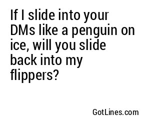 If I slide into your DMs like a penguin on ice, will you slide back into my flippers?
