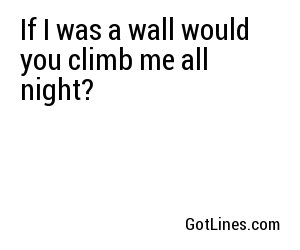 If I was a wall would you climb me all night?
