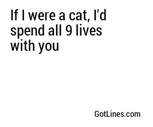 If I were a cat, I'd spend all 9 lives with you
