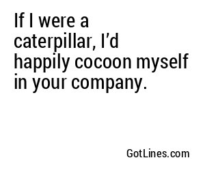 If I were a caterpillar, I’d happily cocoon myself in your company.