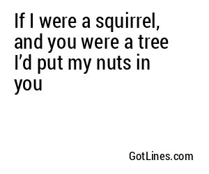 If I were a squirrel, and you were a tree I’d put my nuts in you