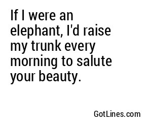 If I were an elephant, I'd raise my trunk every morning to salute your beauty.