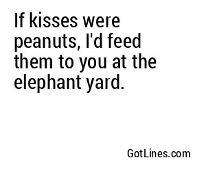 If kisses were peanuts, I'd feed them to you at the elephant yard.