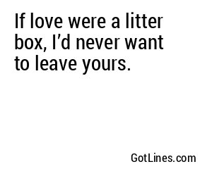 If love were a litter box, I’d never want to leave yours.