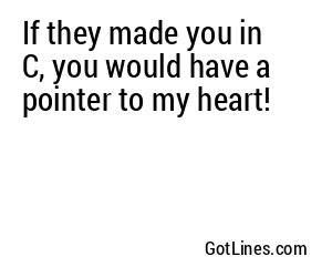 If they made you in C, you would have a pointer to my heart!