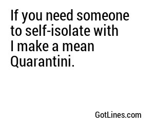 If you need someone to self-isolate with I make a mean Quarantini.
