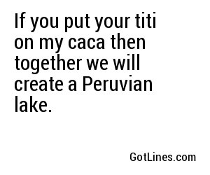 If you put your titi on my caca then together we will create a Peruvian lake.   
