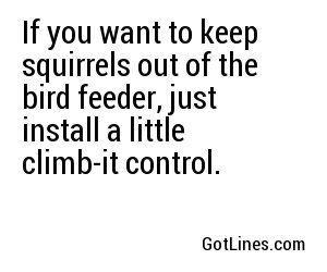 If you want to keep squirrels out of the bird feeder, just install a little climb-it control.
