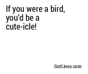 If you were a bird, you’d be a cute-icle!
