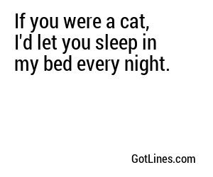 If you were a cat, I'd let you sleep in my bed every night.
